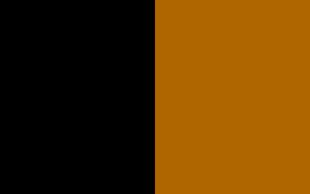 black / brown-0412