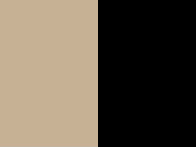 beige/noir