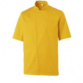 Veste MIKASI jaune manches courtes 2512 Veste 25123281056