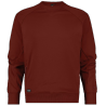 SWEAT-SHIRT DASSY® DOLOMITI (500135) COLLECTION ViVid® 500135