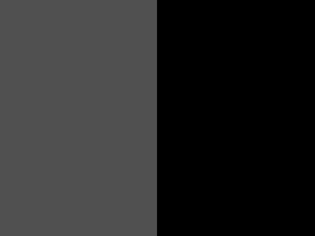 Dark grey / Black - 979