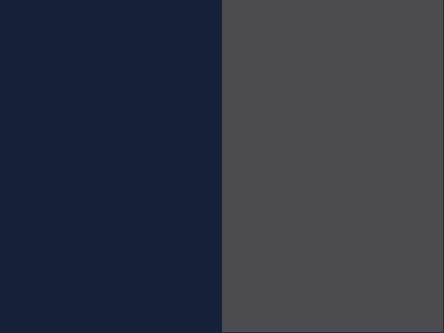 Bleu nuit / Gris anthracite