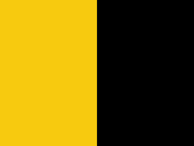 Yellow - black 0604