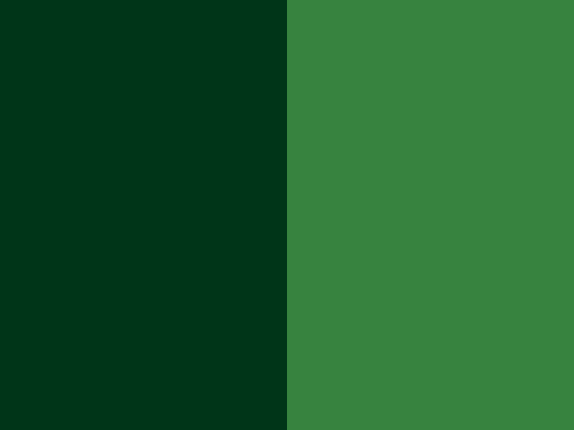 Appel green / Forest green 3739