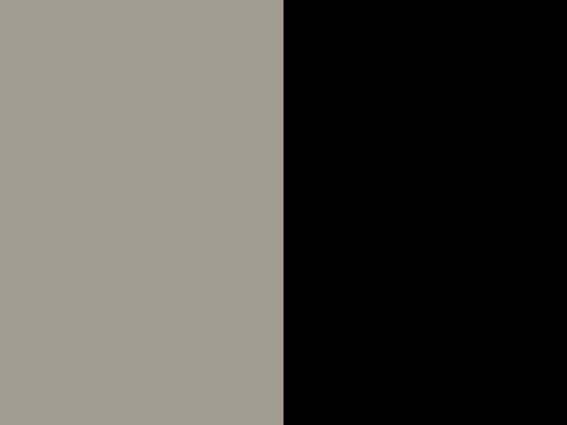 BEIGE NOIR 2799