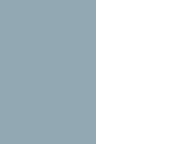 Gris / blanc 1094