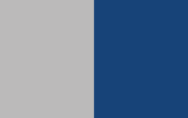 Ash grey/navy-0795