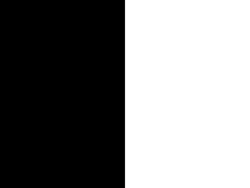 Black / white - 0409