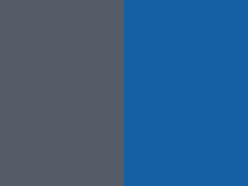 Steel grey / True blue - 5856