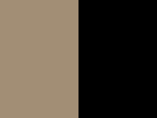 Beige/noir