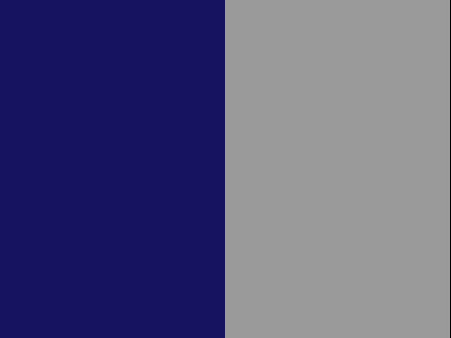 Bleu marine / gris clair