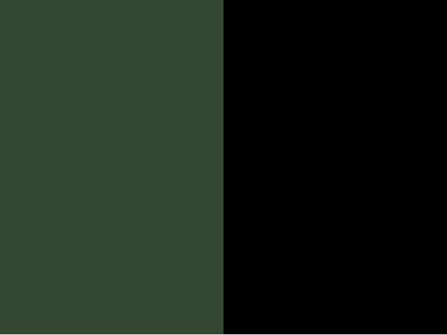 Vert/noir