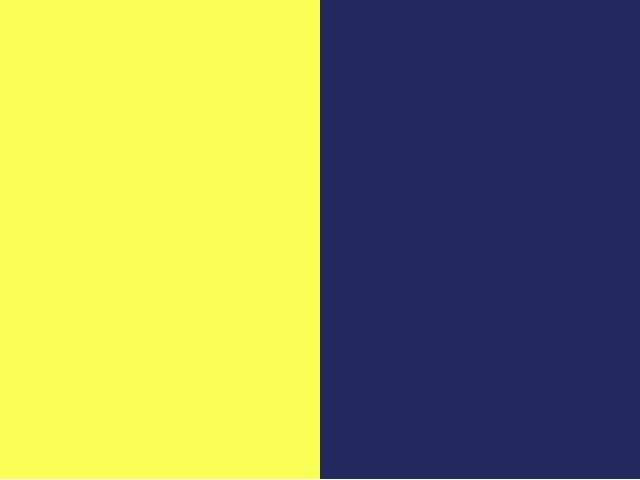 Jaune/Bleu marine