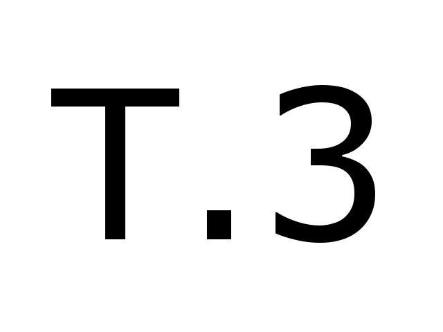 T3