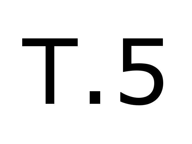 T5