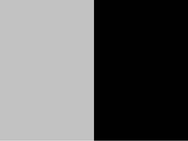 gris clair/noir