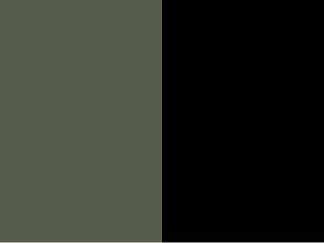 vert armée/noir 4699