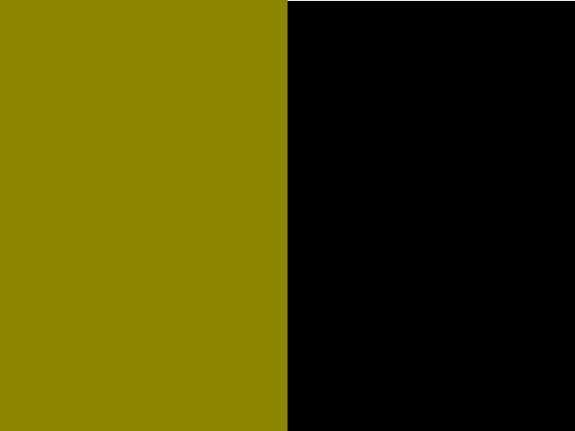 vert olive/noir 4599